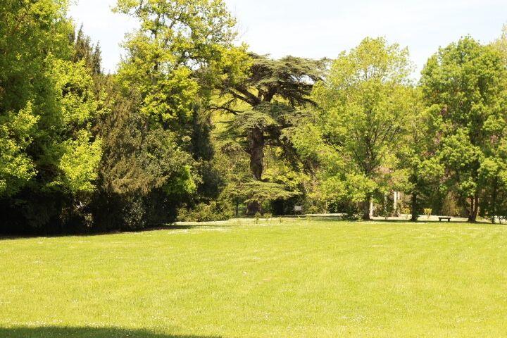 Chateau Castelrives Bessières Eksteriør billede